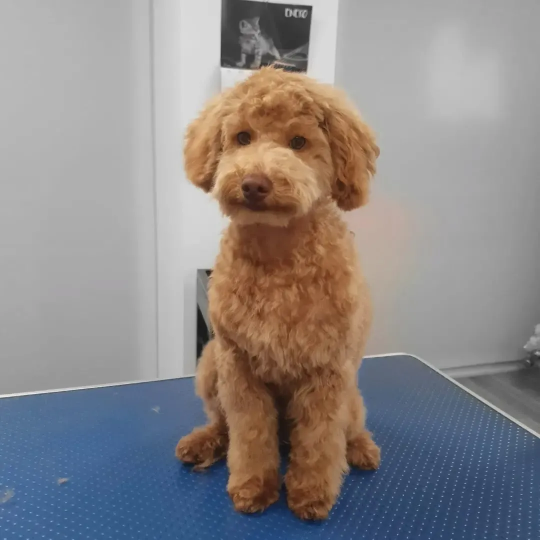 imgi_21_332884015_604051807833073_7753206808207220267_n