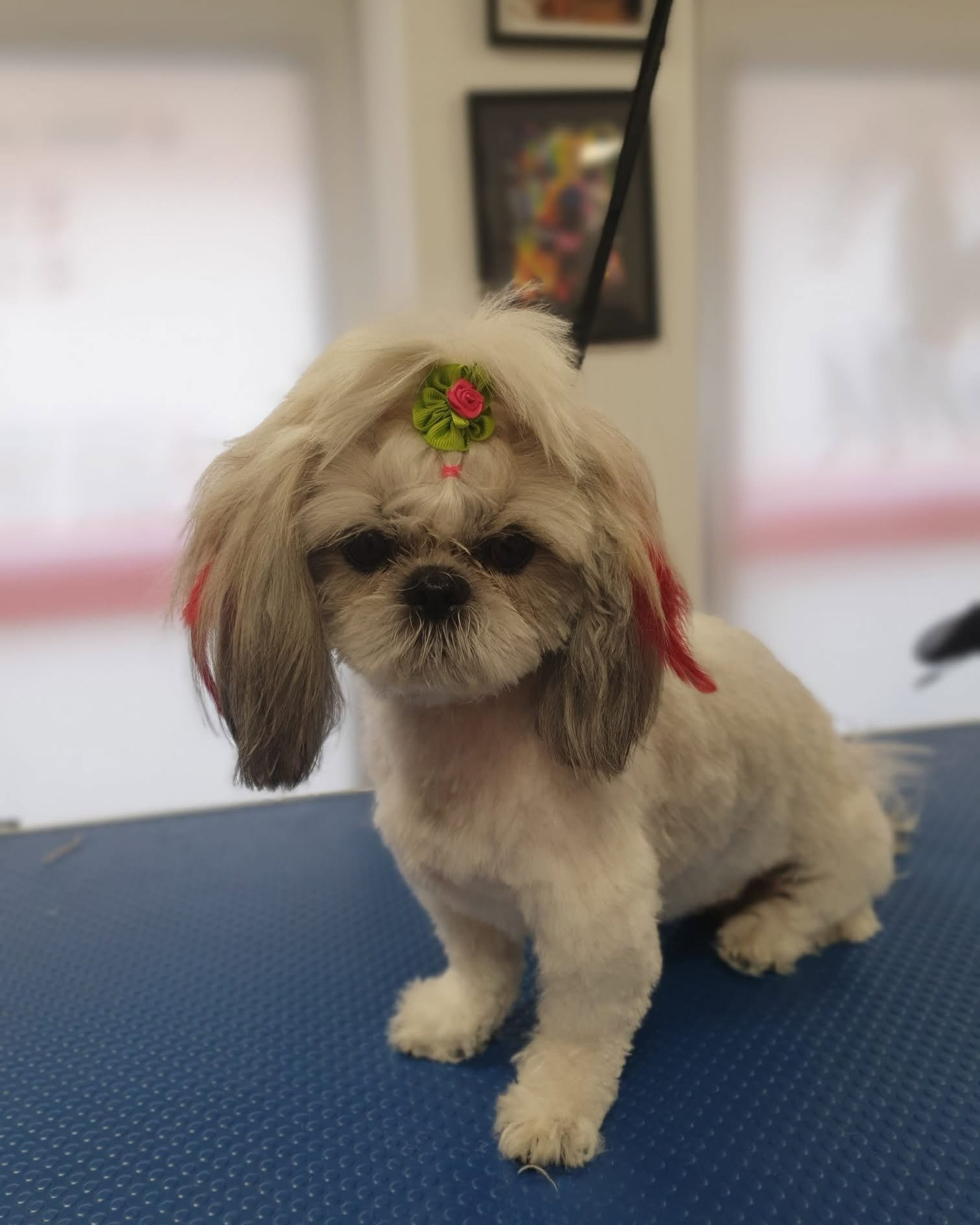 imgi_23_483705060_629684213031711_5532652837840687276_n