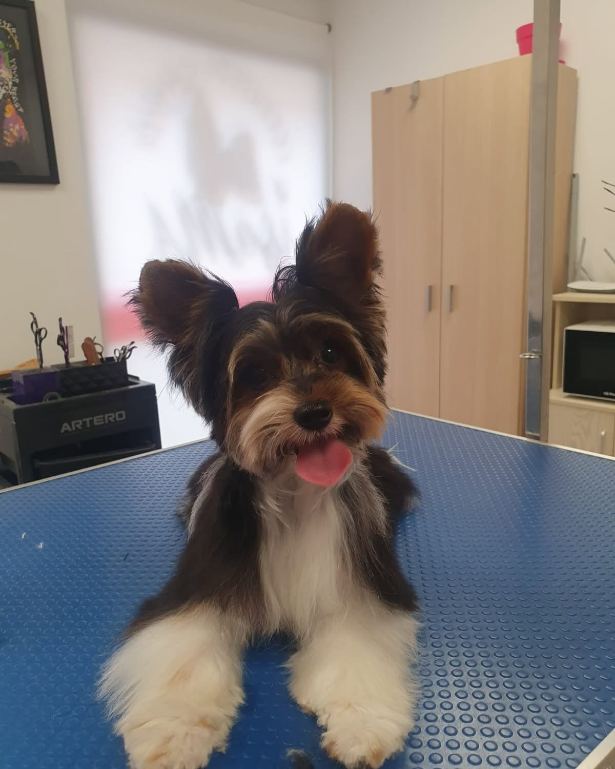 imgi_26_482975186_625616023438530_2741152817574203050_n