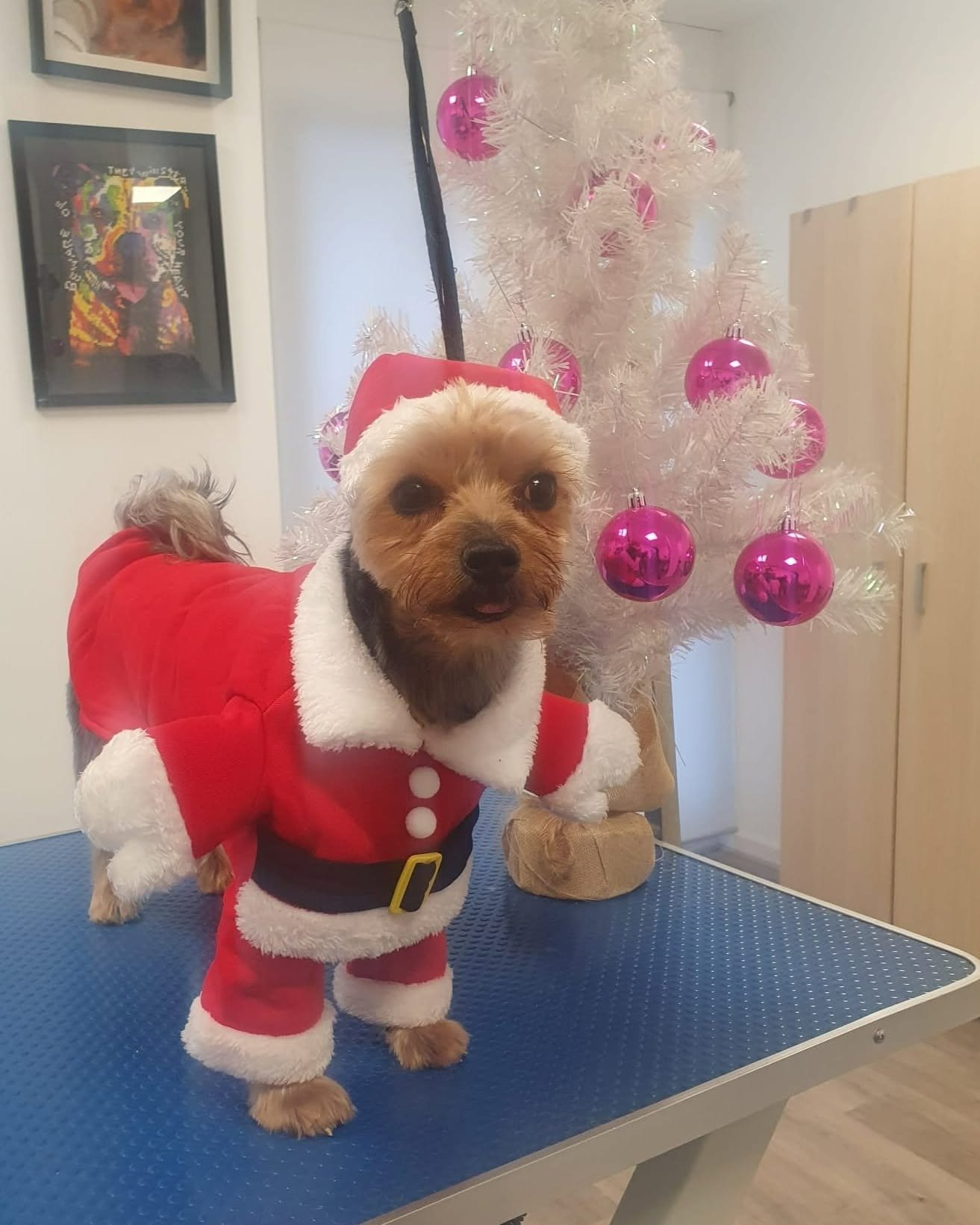 imgi_37_481988162_624384236895042_2828000418041883574_n