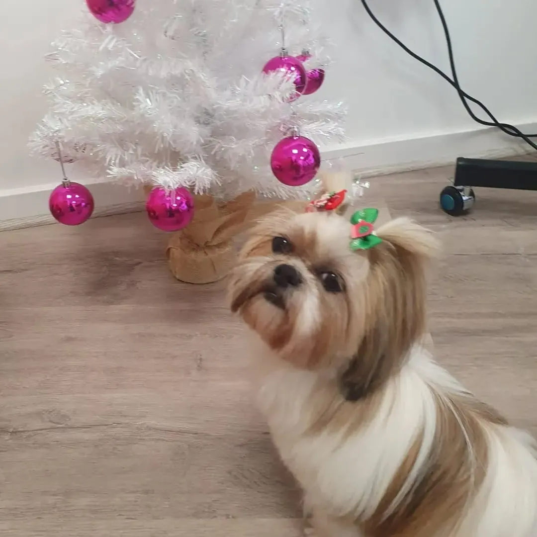 imgi_46_321050321_1098696177494009_1785524250568547834_n