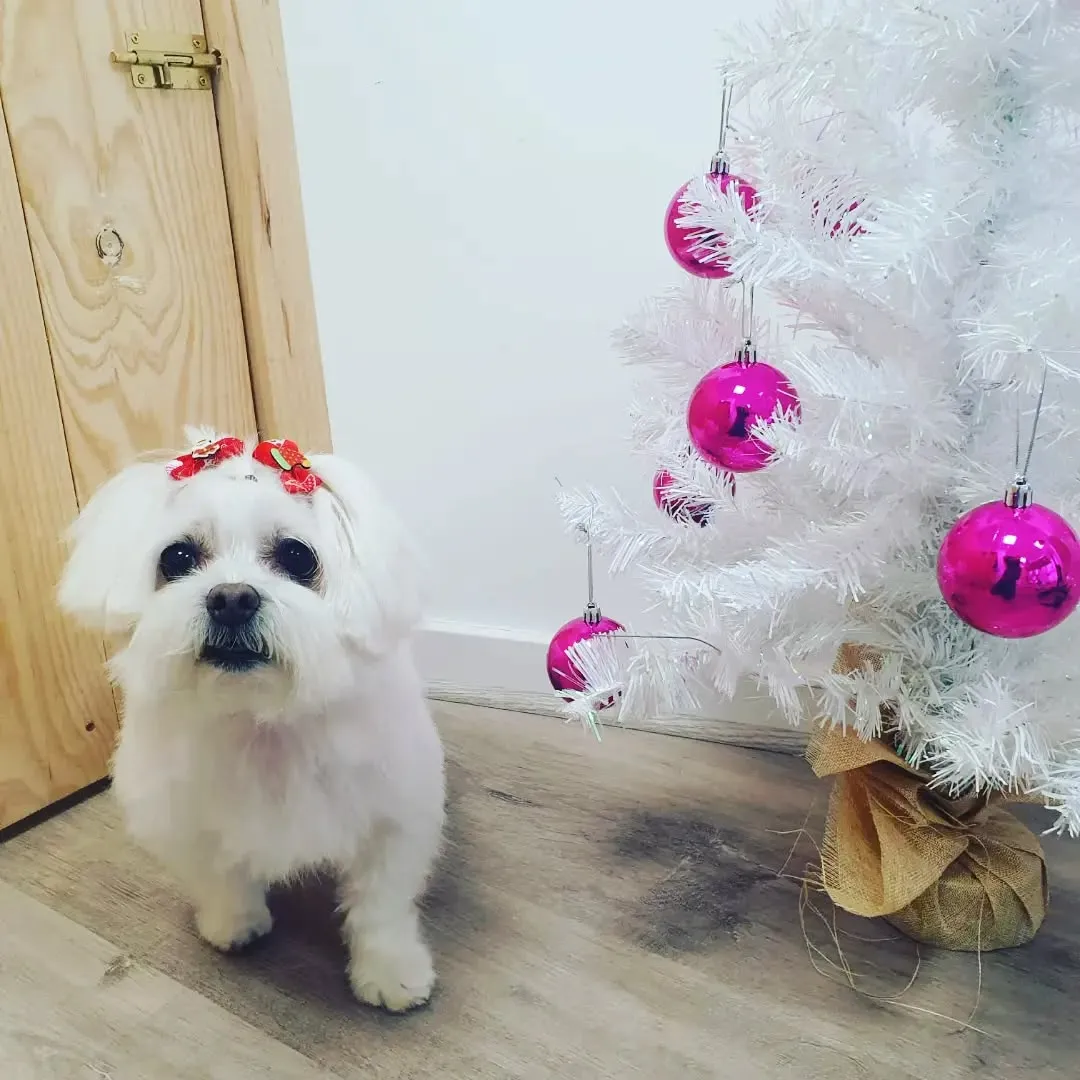 imgi_56_319615853_836298087678369_4844532997981129771_n