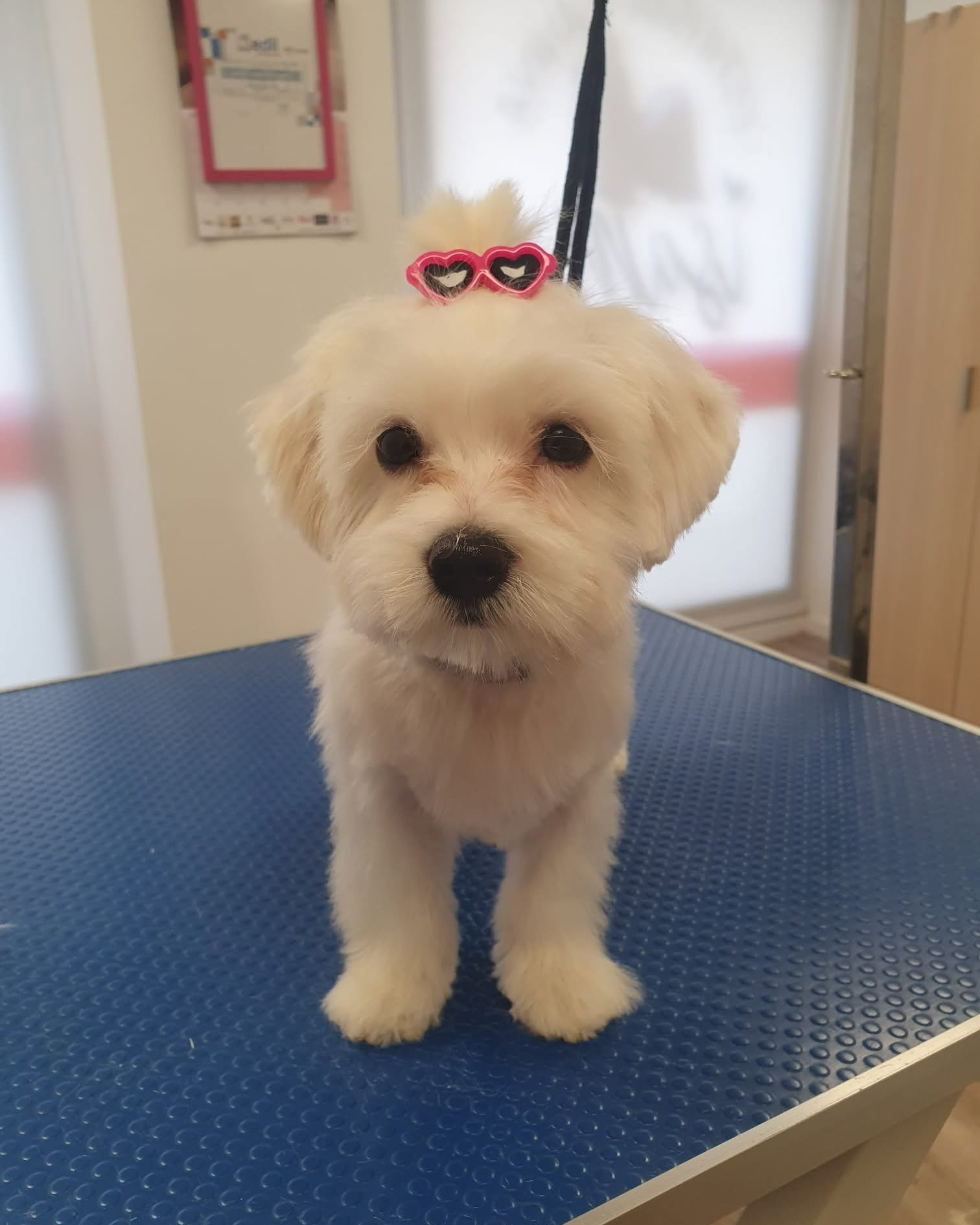 imgi_60_481106148_621788933821239_5693980900973503363_n