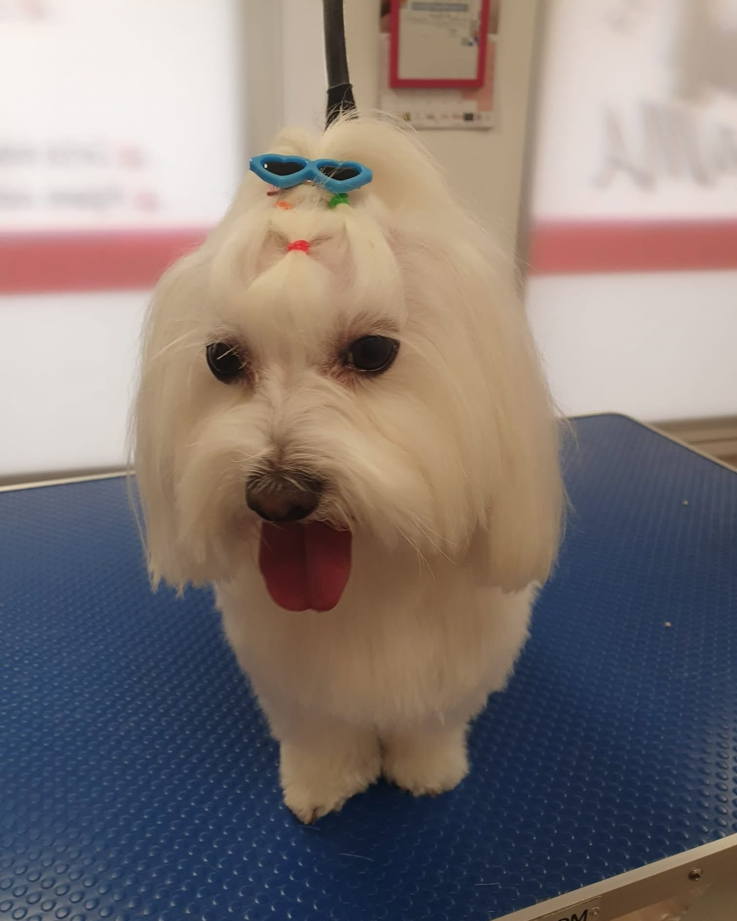 imgi_61_481084963_621784993821633_8050307739376089701_n