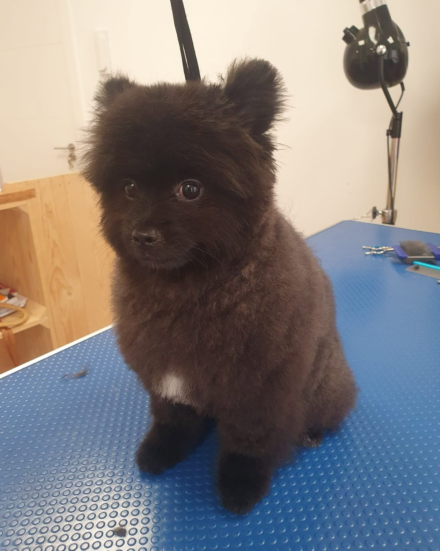 imgi_64_481227523_621781273822005_4828849272592150328_n