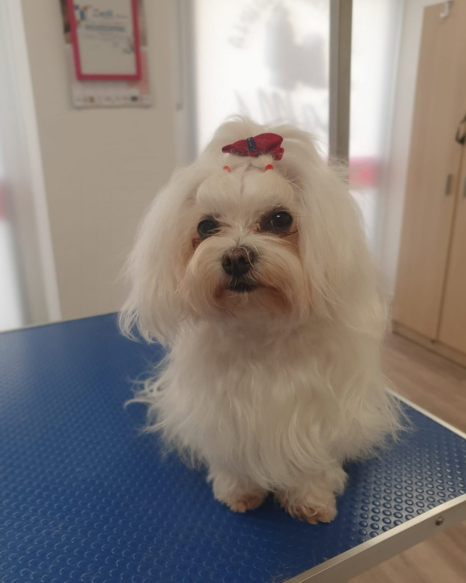 imgi_66_480962219_621778770488922_7212820597148721395_n