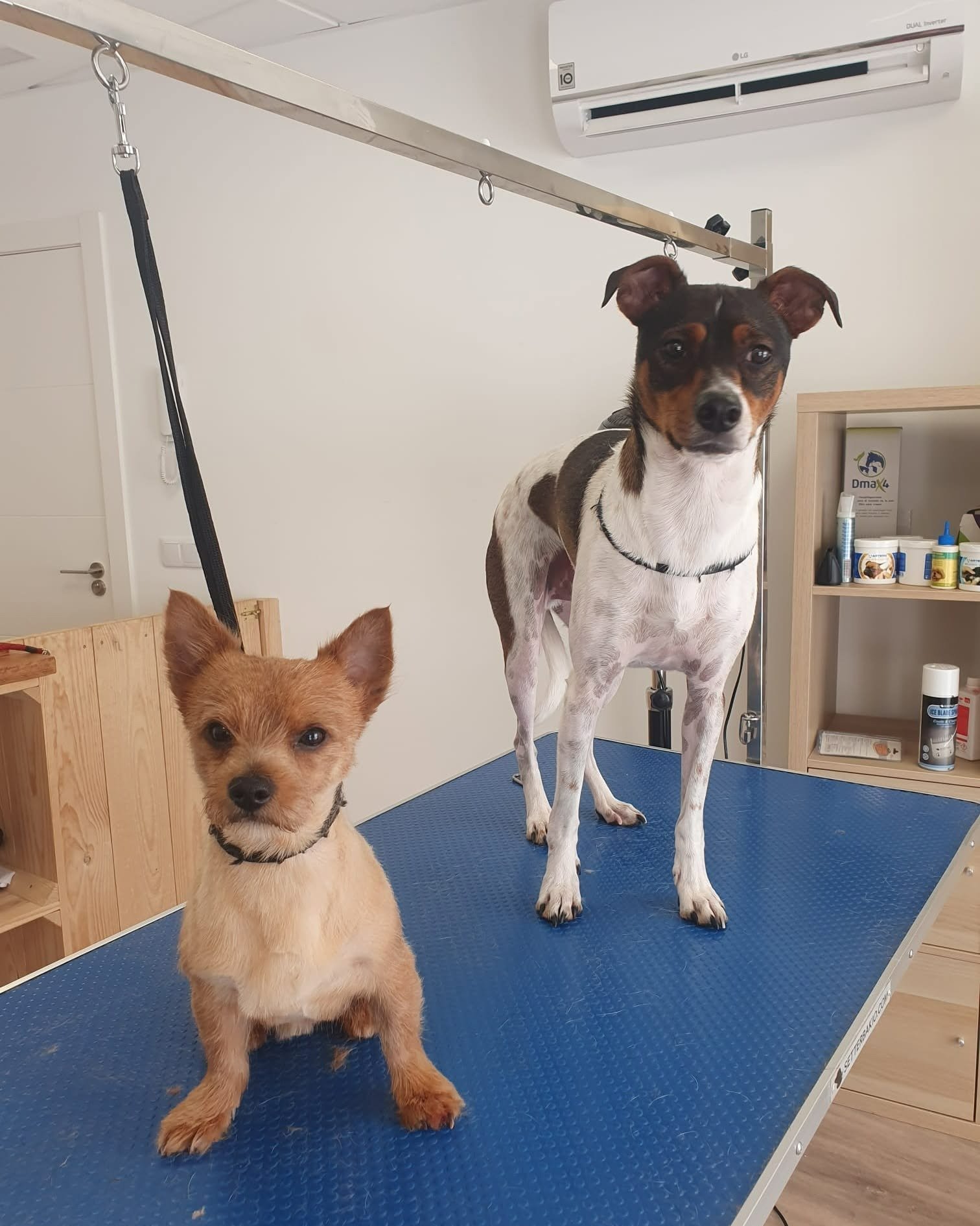 imgi_73_481200955_620144223985710_4611342739613145875_n