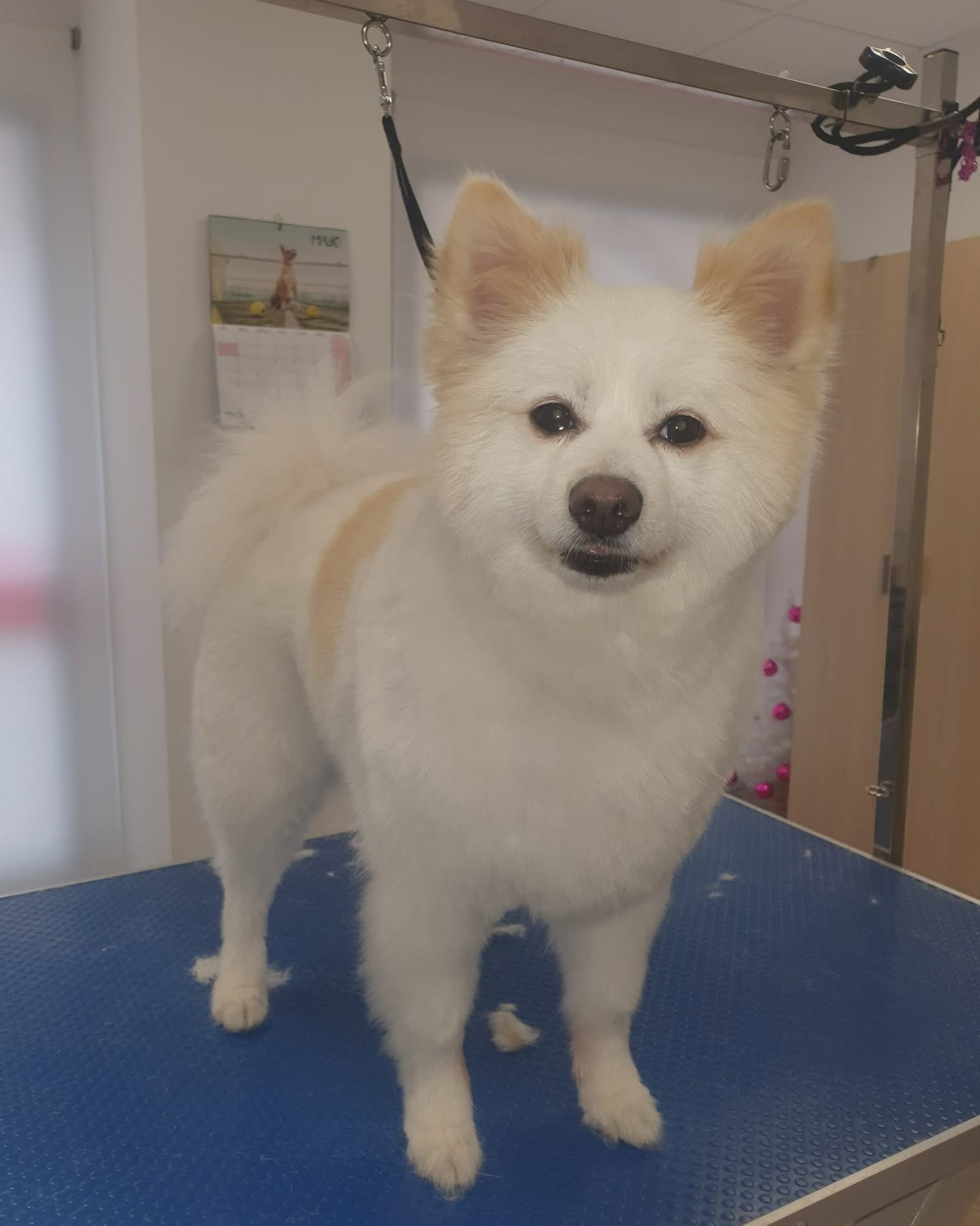 imgi_75_481159814_620143210652478_7327572420743859877_n