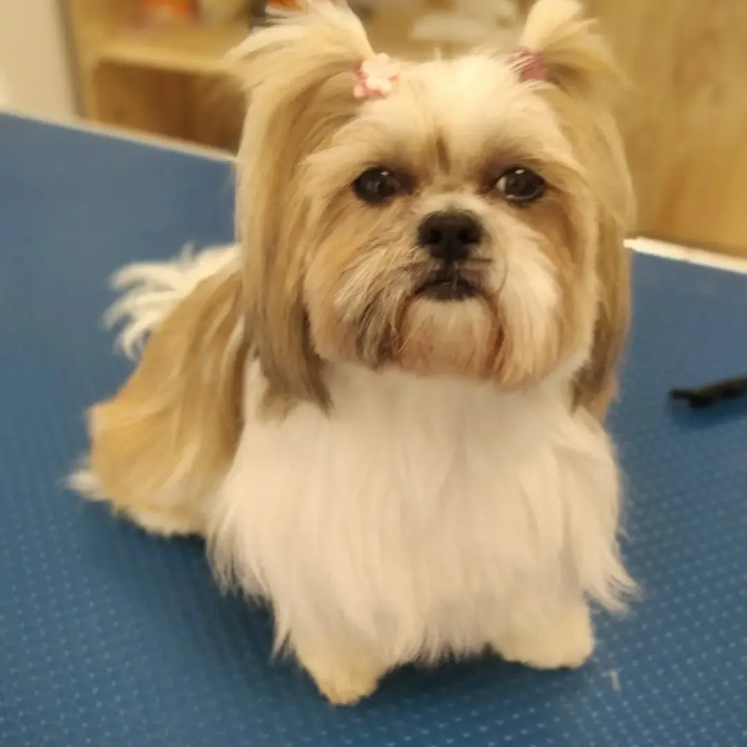 imgi_77_310618860_667666331192181_7817706978152321582_n