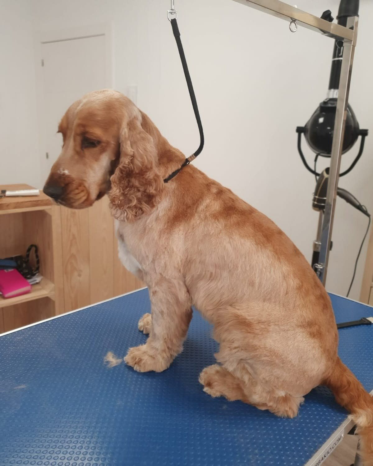 imgi_77_482203568_620138790652920_6266605112723811750_n